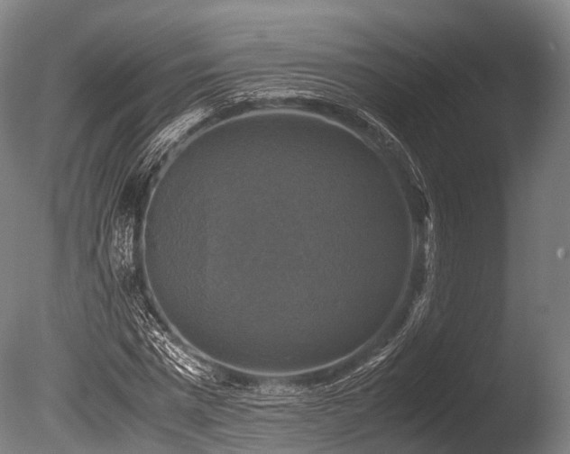 X0000086010777200703231211