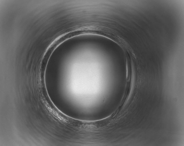 X0000086010784200703231211
