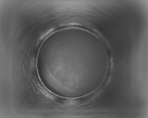 X0000086010785200703231211