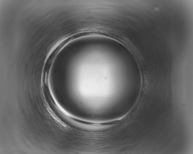 X0000086010788200703231210