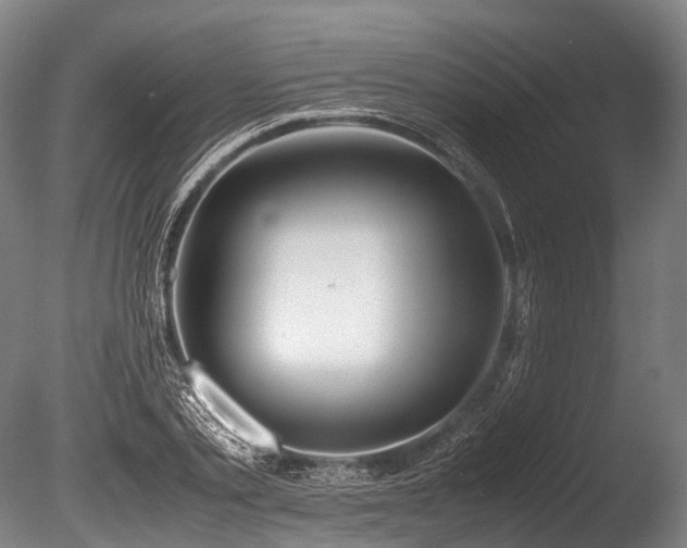 X0000086010789200703231210