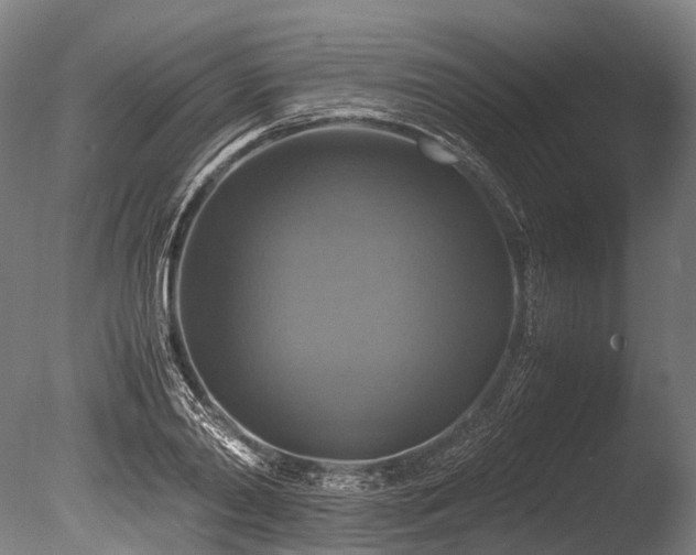 X0000086010790200703231210
