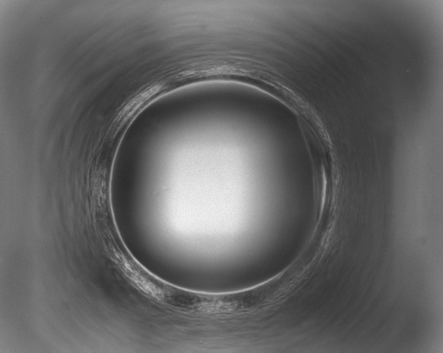 X0000086010793200703231210