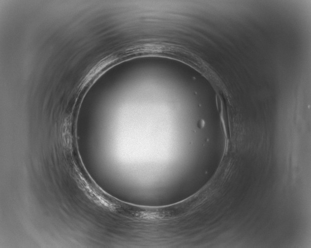 X0000086010794200703231210