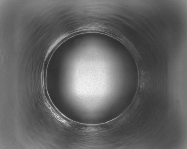 X0000086010796200703231210