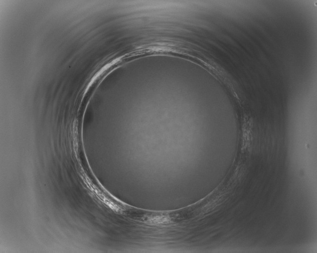 X0000086010798200703231210