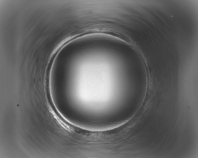 X0000086010803200703231210