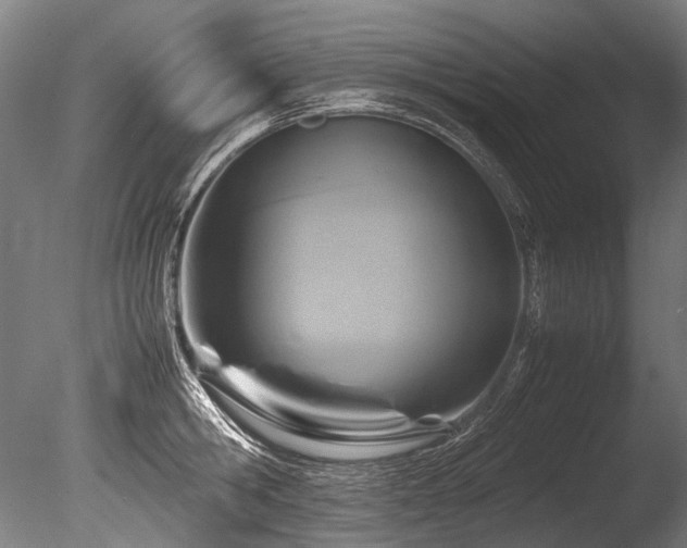 X0000086010806200703231210