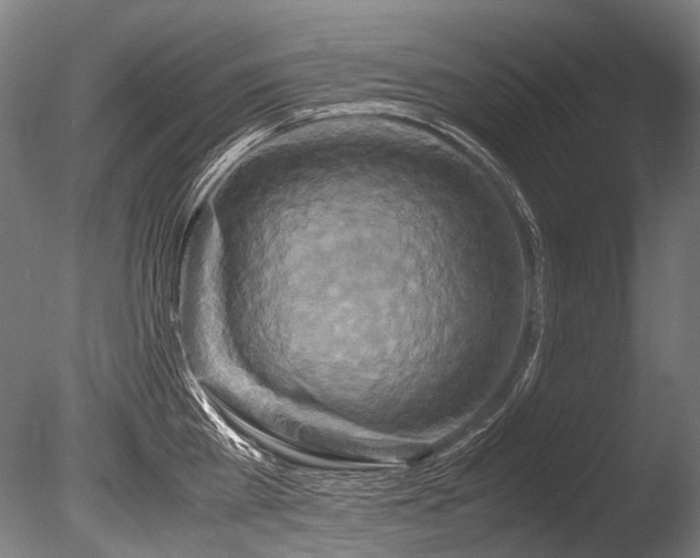 X0000086010809200703231210