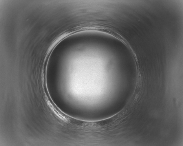 X0000086010811200703231210