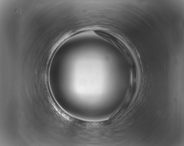 X0000086010813200703231210