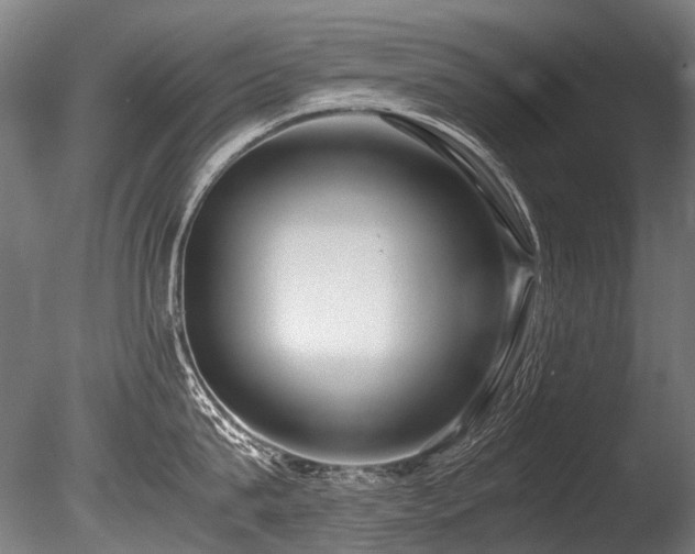 X0000086010815200703231210