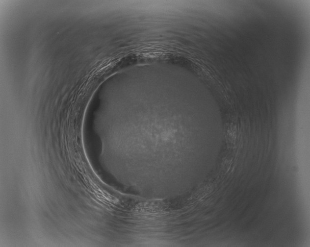X0000086010817200703231209