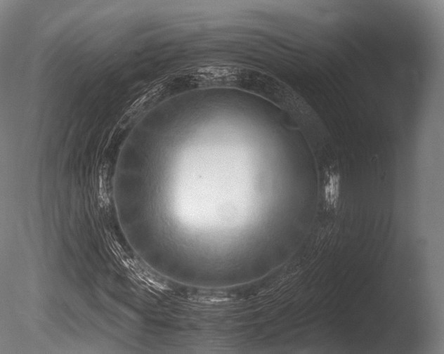 X0000086010819200703231209