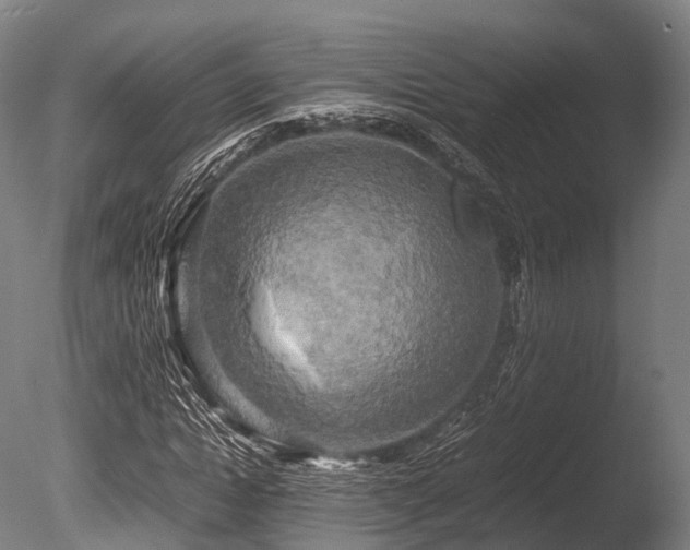 X0000086010822200703231209