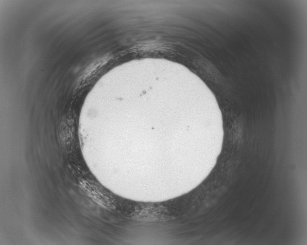 X0000086010824200703231209