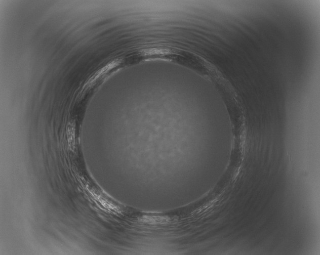 X0000086010825200703231209