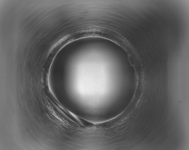 X0000086010826200703231209