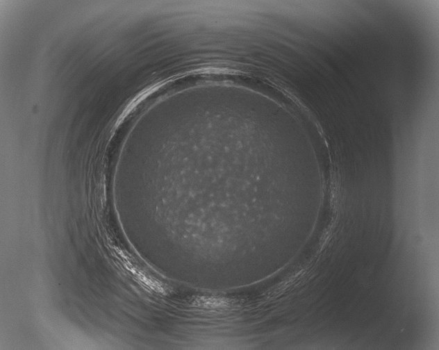 X0000086010829200703231209