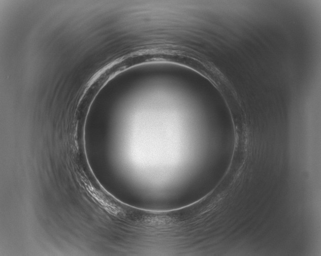 X0000086010830200703231209