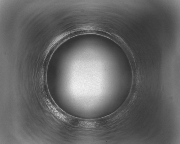 X0000086010831200703231209