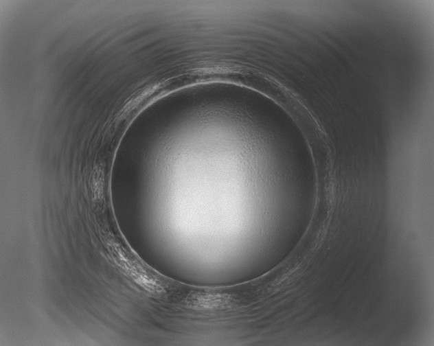 X0000086010833200703231209