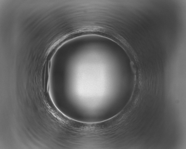 X0000086010834200703231209