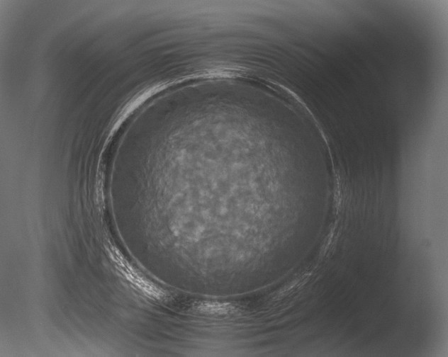 X0000086010835200703231209