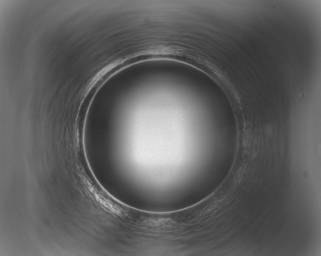 X0000086010837200703231209