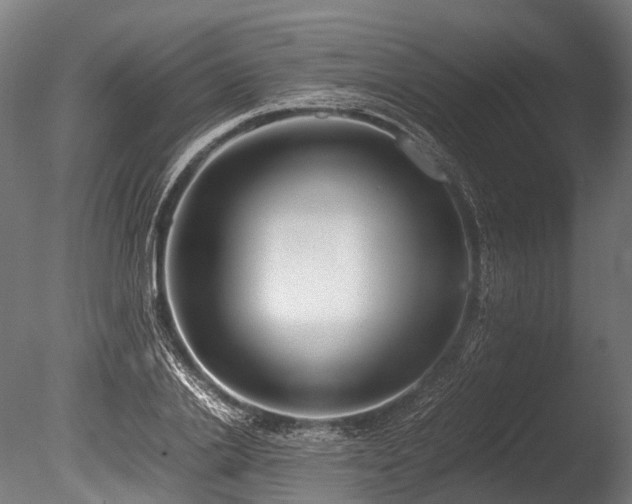X0000086010838200703231210