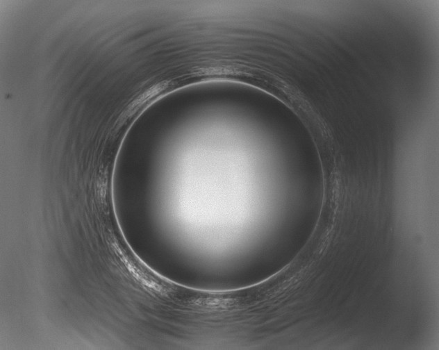X0000086010841200703231210