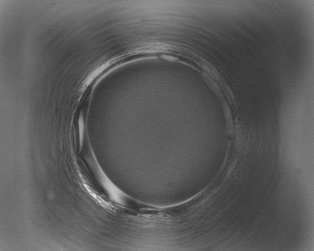 X0000086010842200703231210