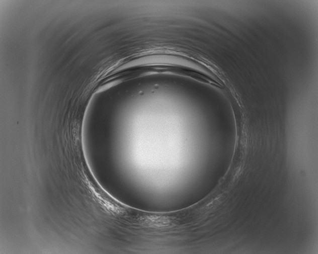 X0000086010849200703231210