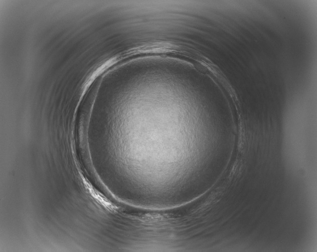 X0000086010850200703231210