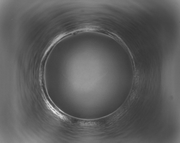 X0000086010851200703231210