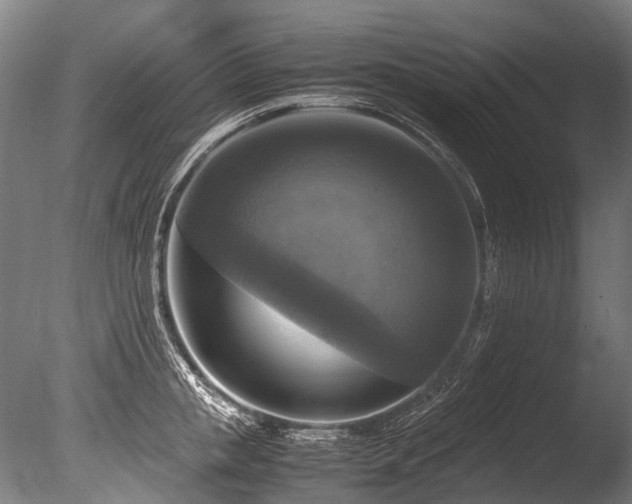 X0000086010853200703231210