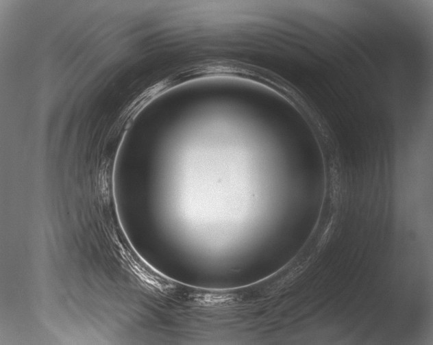 X0000086010857200703231210