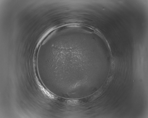 X0000086010859200703231210