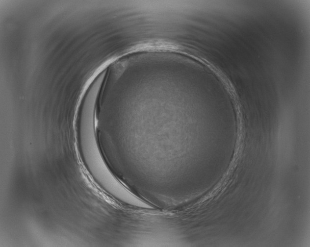 X0000086010864200703231210