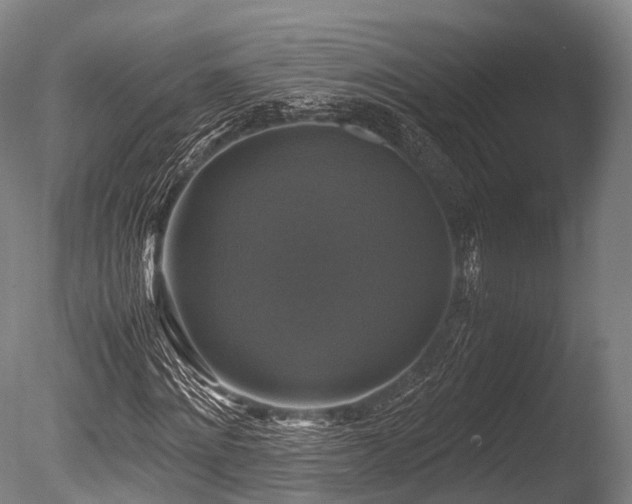 X0000086010868200703231209
