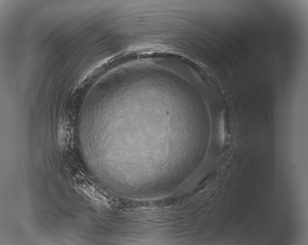 X0000086010872200703231209