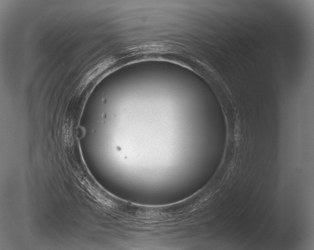 X0000086010873200703231209