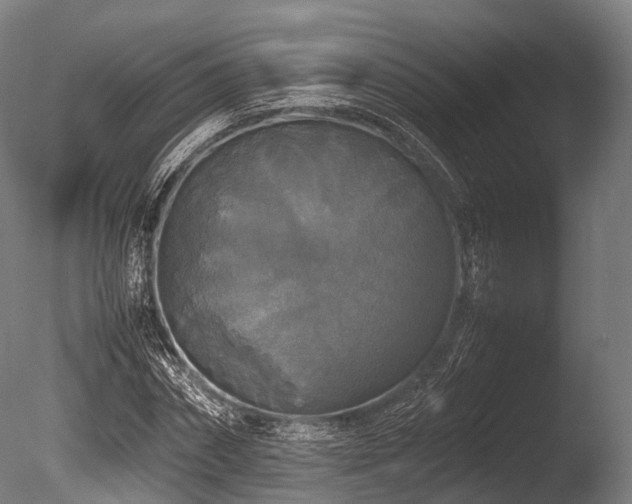 X0000086010874200703231209