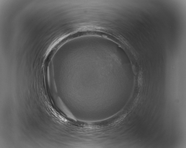X0000086010877200703231209