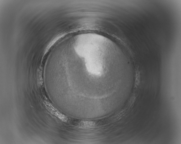 X0000086010878200703231209
