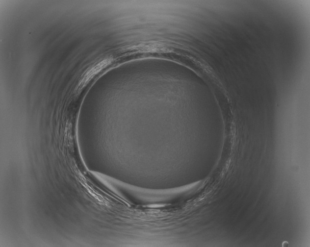 X0000086010881200703231209