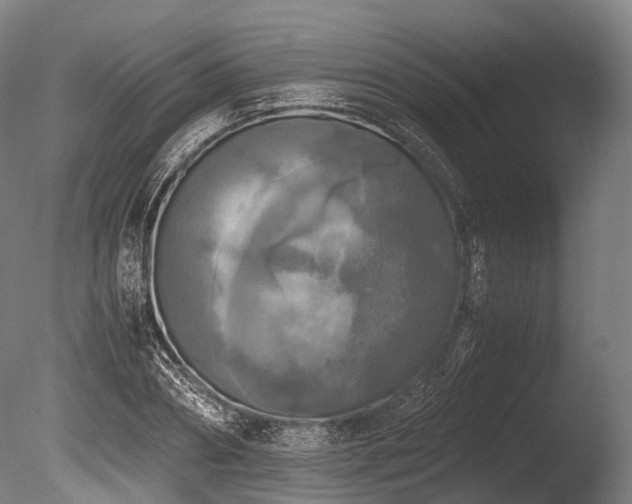 X0000086010882200703231209