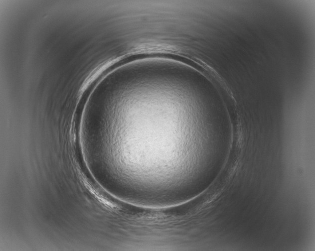 X0000086010885200703231209