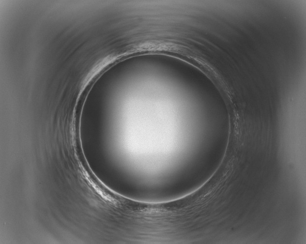 X0000086010894200703231209