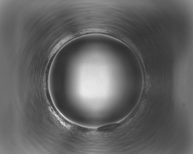 X0000086010898200703231209
